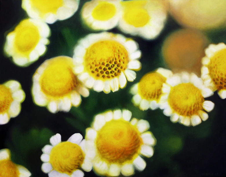 Light blossoms from the darkness